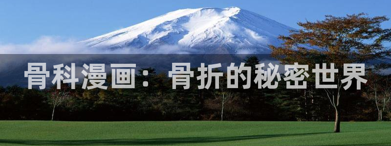 虫虫漫画免费漫画弹窗：骨科漫画：骨折的秘密世界