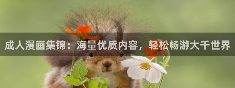 虫虫漫画韩漫在线观看：成人漫画集锦：海量优质内容，轻松畅游大千世界