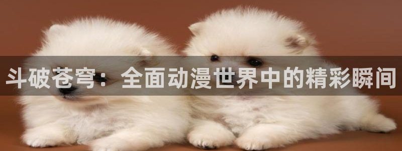 妖精漫画虫虫漫画ss：斗破苍穹：全面动漫世界中的精彩瞬间