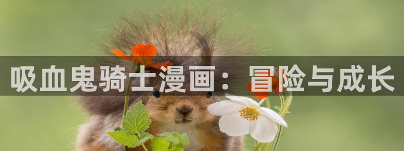 虫虫漫画/：吸血鬼骑士漫画：冒险与成长