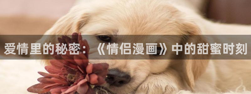 虫虫漫画软件app下载：爱情里的秘密：《情侣漫画》中的甜蜜时刻